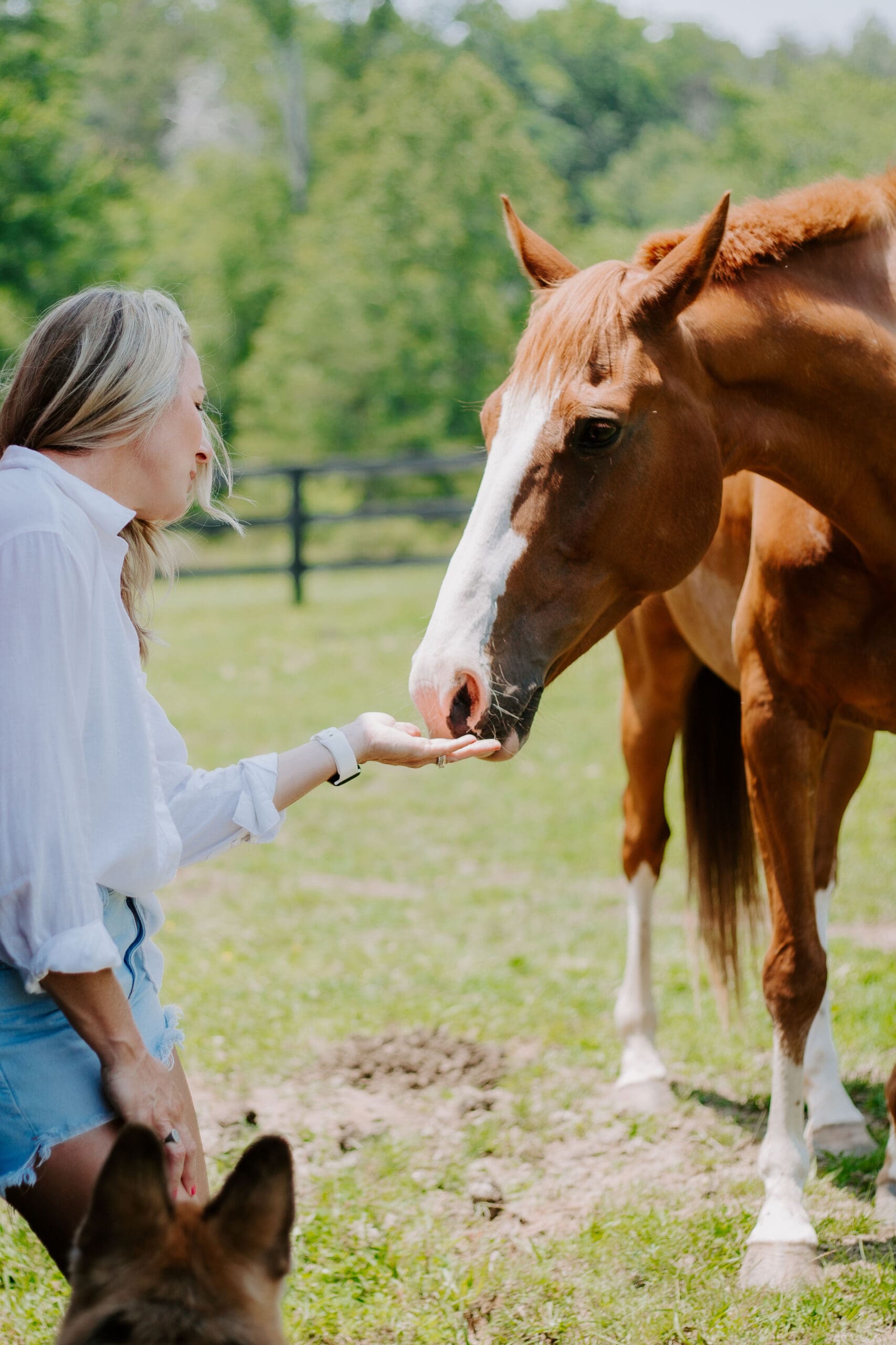 Using a Franchise Lawyer, Yay or Nay