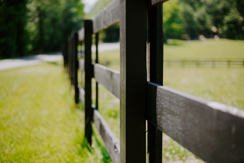 Fence in grassy field